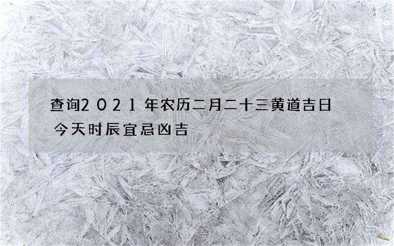 查询2021年农历二月二十三黄道吉日 今天时辰宜忌凶吉
